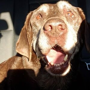 Meet your Posher, Brenda